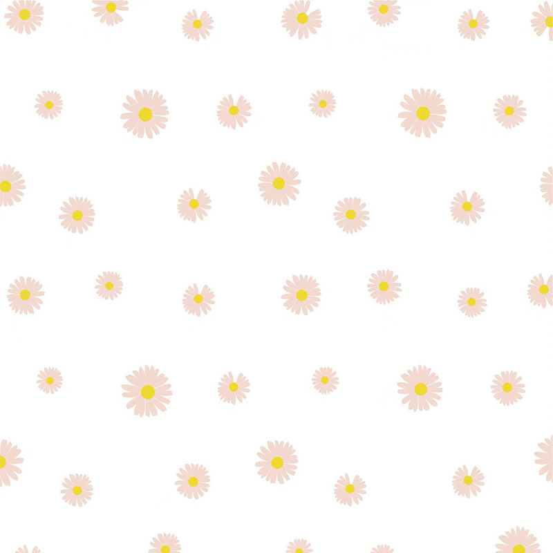 MYHC-18 Kertas Pembalut Bunga Filem Little Daisy Mutiara Segar