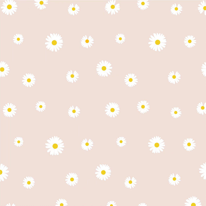 MYHC-18 Kertas Pembalut Bunga Filem Little Daisy Mutiara Segar