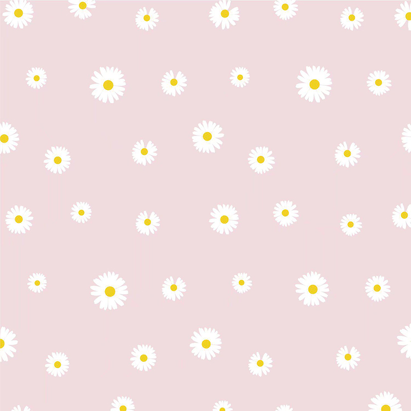 MYHC-18 Kertas Pembalut Bunga Filem Little Daisy Mutiara Segar