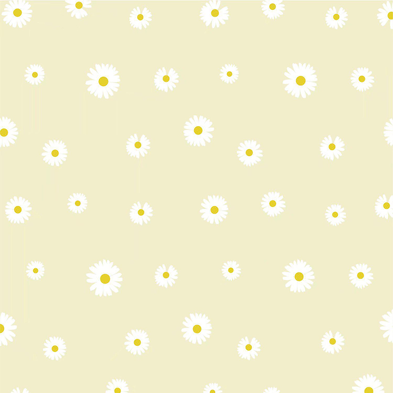 MYHC-18 Kertas Pembalut Bunga Filem Little Daisy Mutiara Segar