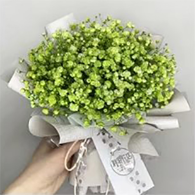 Kertas Pembalut Bouquet Bertekstur Mudah